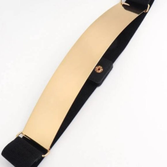 Gold Plate Front Elastic Belt - Picture 3 of 8